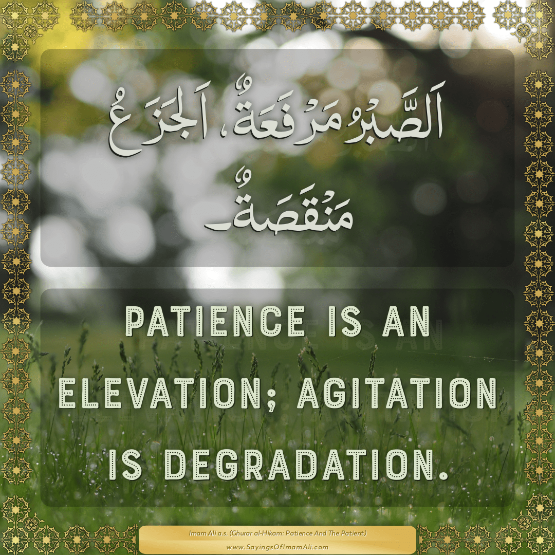 Patience is an elevation; agitation is degradation.